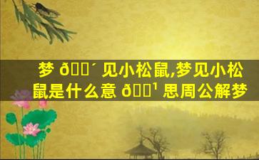 梦 🐴 见小松鼠,梦见小松鼠是什么意 🌹 思周公解梦